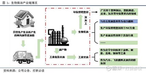 卓越新能688196估值分析--国内生物柴油龙头