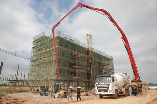 重磅 桂平生物柴油 状元山旅游等5大项目将迎来新变化
