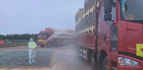 湖南卫视 病死禽畜无害化处理 养殖户既 安心 又 舒心