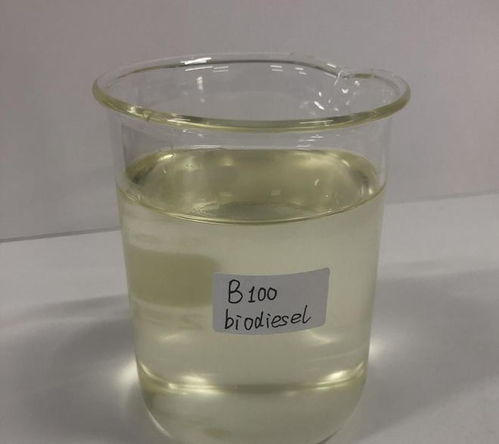 石油危机解除 科学家发现 石油树 ,每棵树能生产几十升柴油