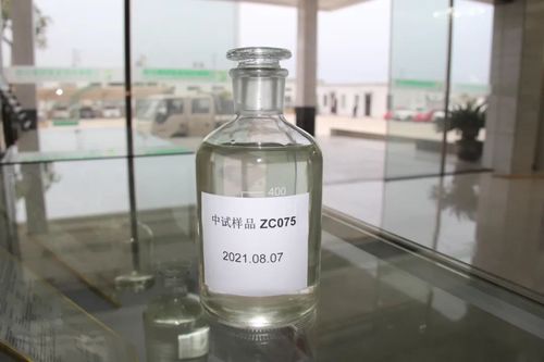 东北中石油国际事业公司考察调研盘锦鹏鹞二代生物柴油项目