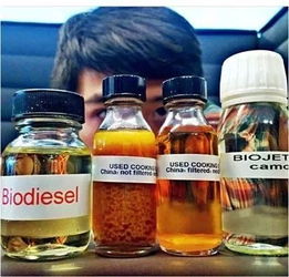 定居荷兰9年毅然回国,他让万人厌的 地沟油 变生物燃料,飞机都能用