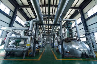 自主创新引领 产业格局初现--我国生物柴油产业发展路径分析(上)