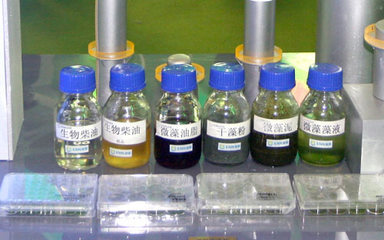 中国利用藻类对抗全球变暖令世界瞩目-绿色频道