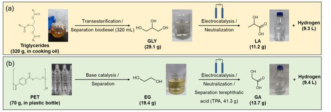 清华段昊泓/北化工栗振华JACS:电催化废塑料、生物质高值转化,制备生物可降解塑料单体耦合制氢