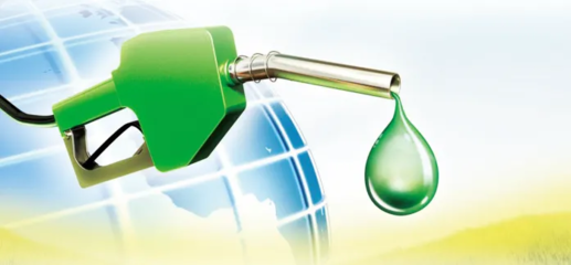 以出口为主的生物柴油市场结构或当调整