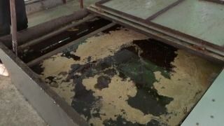 废弃油脂 变废为宝