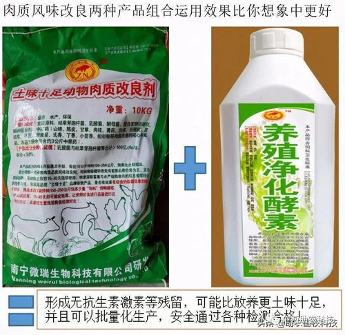 生产土味十足高品质猪肉的几个关键措施与实战操作