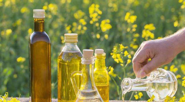 花生油 菜籽油 玉米油,哪种油更健康 专家 这2种油尽量少吃