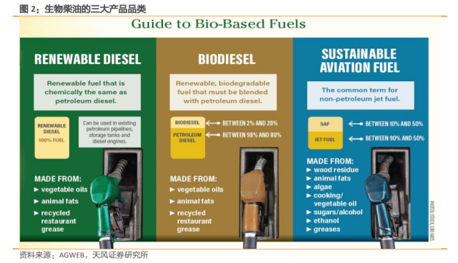 生物柴油行业深度研究:全球减碳推高需求,中国产业链有望受益