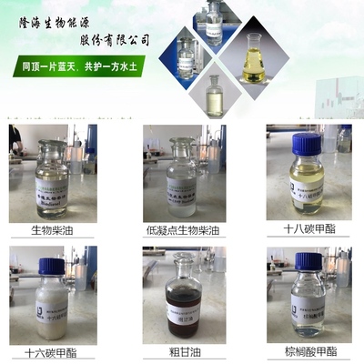 河南隆海生物能源 专注脂肪酸甲酯与生物柴油生产的可靠厂商