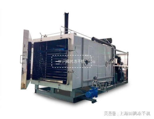 冻干闪释片加工流程和闪释片冻干机生产线