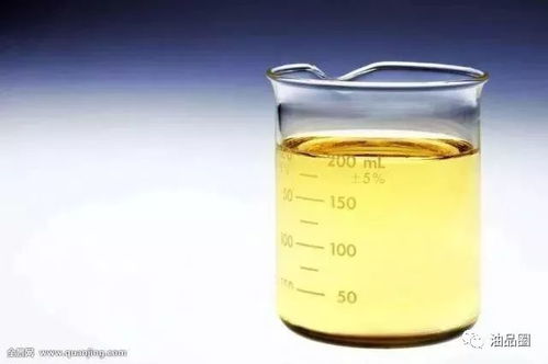 生物柴油 定义、特性与应用探析