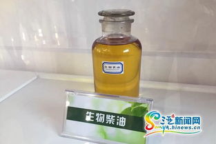 三亚餐厨废弃物处理项目竣工投产 日处理能力达100吨