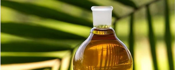 国家出手！政策东风劲吹，生物柴油产业迎来黄金发展期